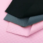 Jacquard Inlay Fabric PL201-54