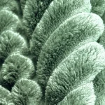 Jumbo Cord | CT60002