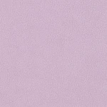 Polar fleece 1 Side Brush Fabric | A0-30-BV2275Z