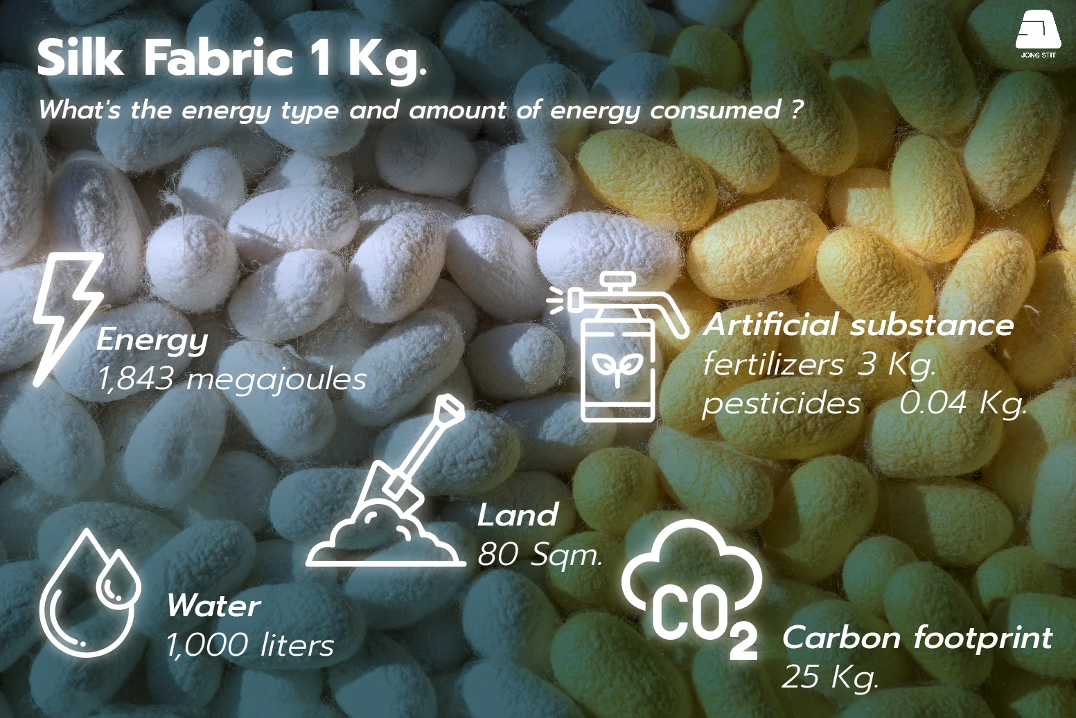 silk fabric 1 kg. Kilogram of Silk resource consumption