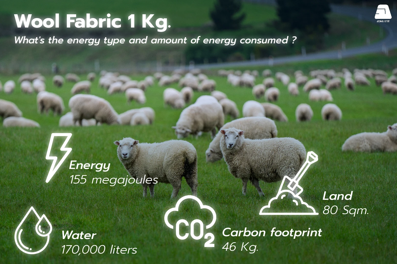 Wool fabric 1 kg. Kilogram of Wool resource consumption