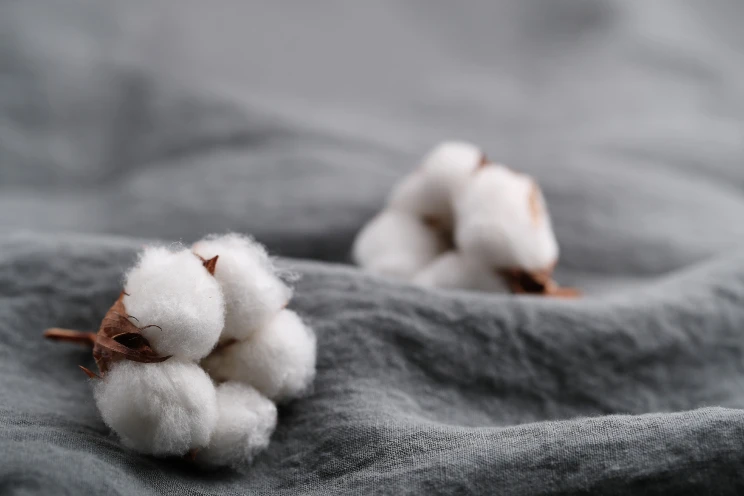 Fabric from Natural fiber - including cellulose fiber like cotton, linen, hemp or bamboo, all have an affordable price. Another natural fiber is a protein fiber such as silk and wool, which is quite expensive,   breathable but not stretchable, wrinkles easily, and unsuitable for long-term use.