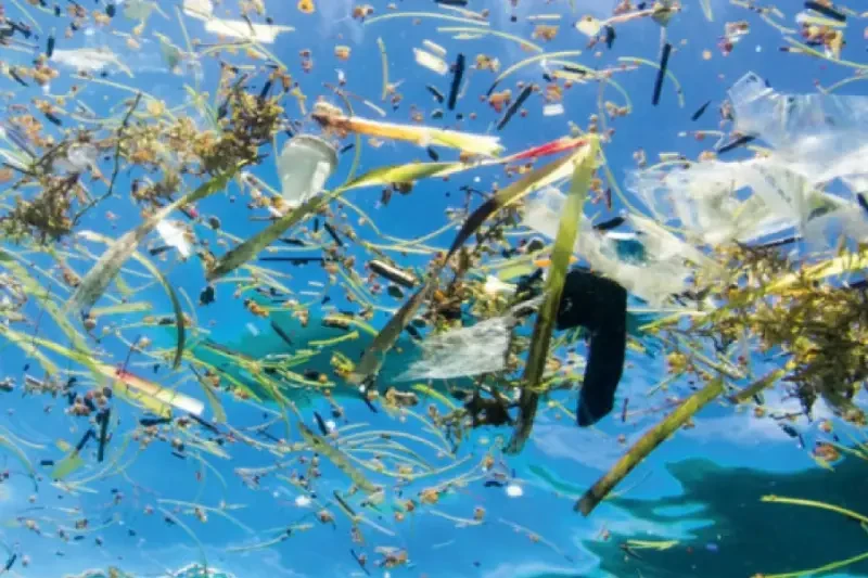 ผ้าโพลีเอสเตอร์รีไซเคิล