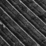 ผ้าลูกฟูก | CO60006